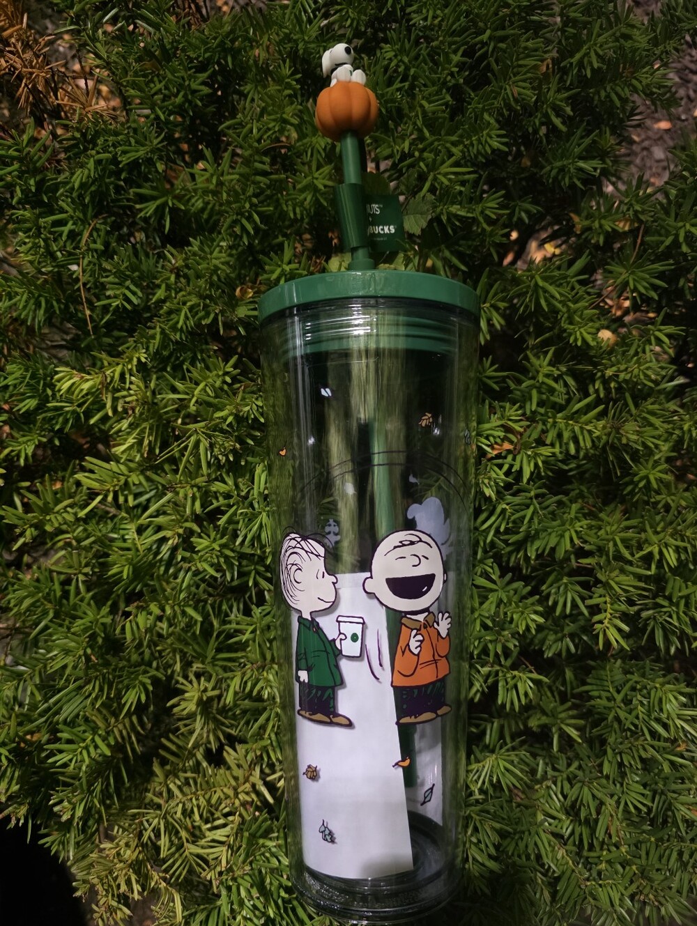 Starbucks Peanuts Snoopy Green & Orange Reusable Tumbler